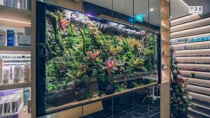 Aquarium with shelving on both sides in a high-end shopping mall. Entire aquarium and cabinets are custom-made by N30 Singapore.