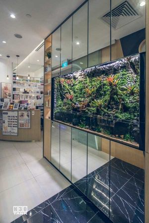 Beautiful aquarium doubles up as a partition in a retail store. This aquarium is custom-made by N30 Singapore.