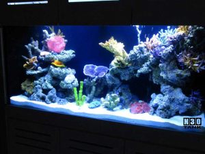 Aquarium Tank Maintenance Service by N30