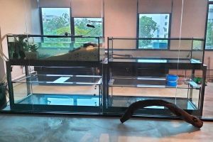 MT-845: 2-tier Aluminium stand custom-fit for the aquarium tank (N30 Tank)