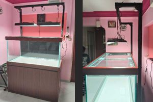 MT-849: Custom Aluminium Light Stand with hanging kit (N30 Tank)