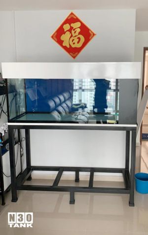 MT-818: N30 5 feet Tank 60" (L) x 24" (W) x 24" (H) - White brace aquarium with side ious filter on mild steel stand.