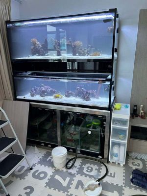 MT-833: Cabinet with magnetic door. Aquarium stainless steel stand.
