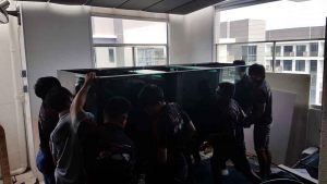 8 This large fish tank successfully lifted up