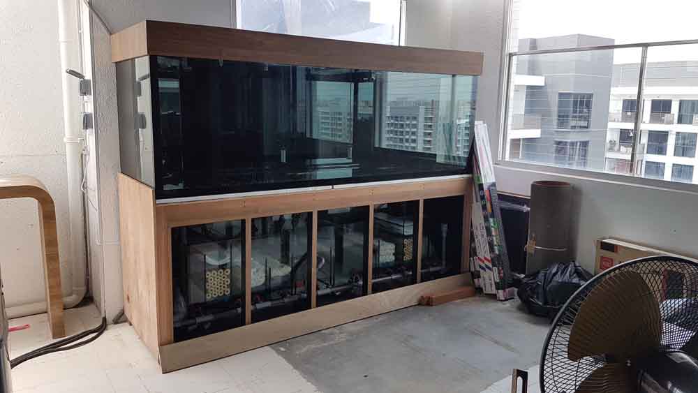 Professional Fish Tank Mover Service, Aquarium Transport N30 Tank