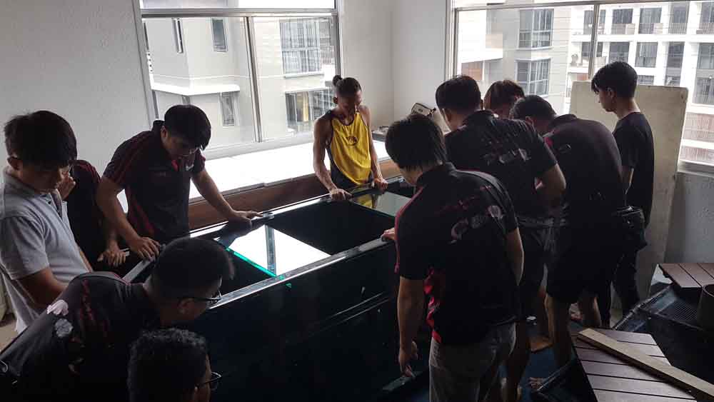 Professional Fish Tank Mover Service, Aquarium Transport N30 Tank