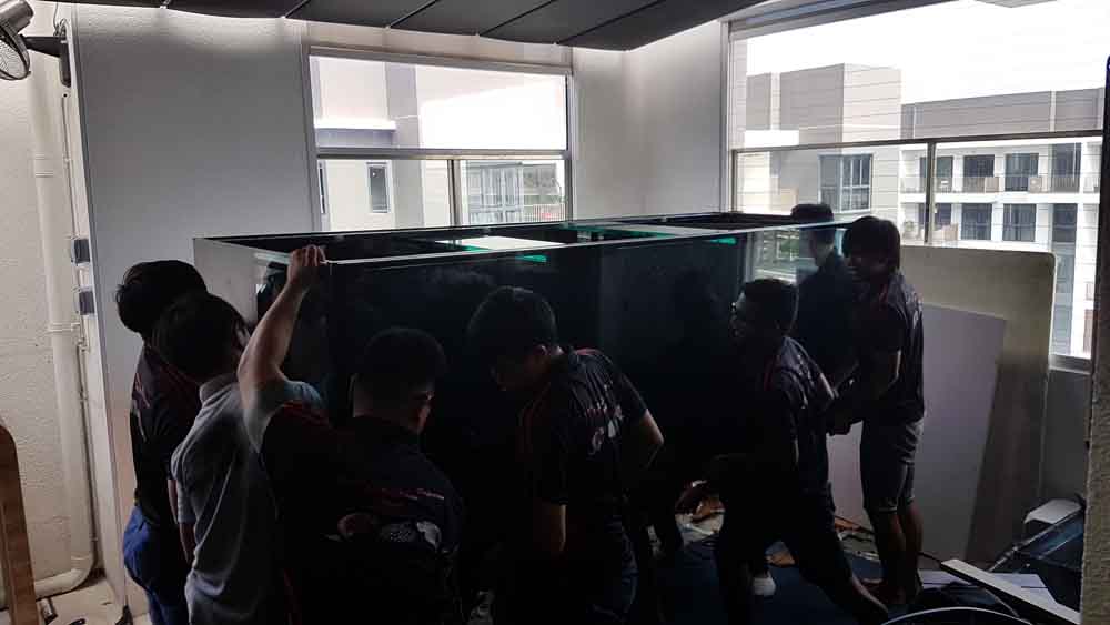 Professional Fish Tank Mover Service, Aquarium Transport N30 Tank