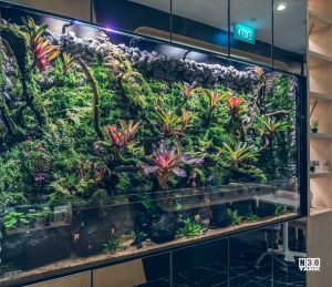 PV-002: Paludarium & Vivarium setup and maintenance - N30 Tank