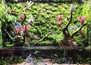 PV-004: Paludarium & Vivarium setup and maintenance - N30 Tank