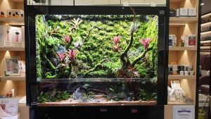 PV-005: Paludarium & Vivarium setup and maintenance - N30 Tank