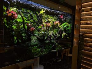 PV-008: Paludarium & Vivarium setup and maintenance - N30 Tank