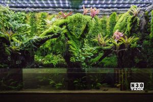 PV-010: Paludarium & Vivarium setup and maintenance - N30 Tank