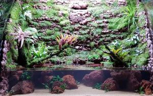 PV-023: Paludarium & Vivarium setup and maintenance - N30 Tank