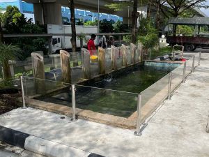 Pond Safety Work: In this outdoor setting, the acrylic panel railing serves a dual purpose by offering both safety and enhancing the overall aesthetics.