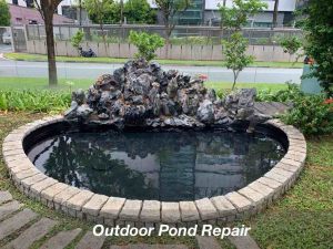 Pond in garden restored by N30 Tank.