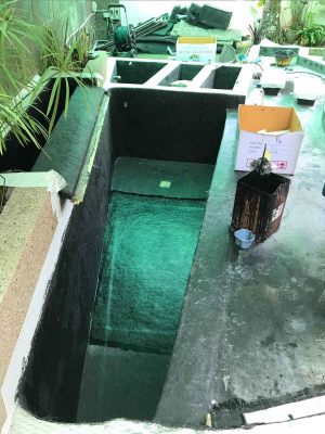 Pond repair completed