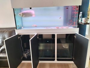 RMT-013: TC AQUARIO 500 - Aquarium tank with cabinet and sump.