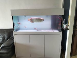 RMT-014: TC AQUARIO 500 - Aquarium tank with cabinet and sump.