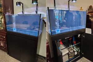 RMT-029: N30 TC Infinity Flat Top Aquarium with Cabinet
