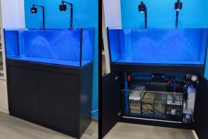 RMT-031: N30 TC Infinity 400 Aquarium Tank with Cabinet, Sump and Media.