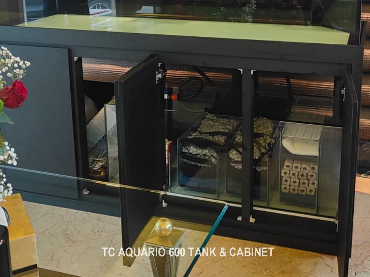 Illustration of Fully Assembled Aquarium Fish Tank