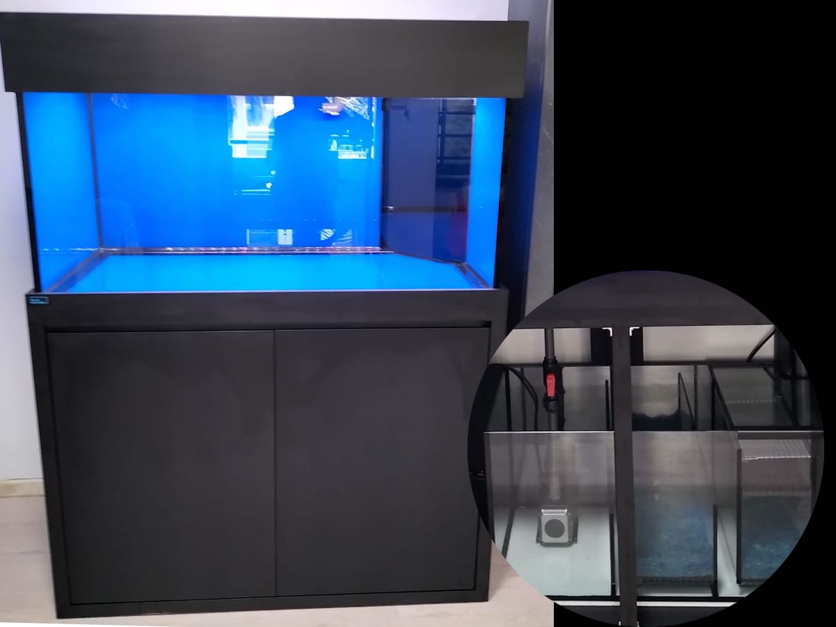 ReadyMade Aquarium Fish Tank with & Sump N30 Tank