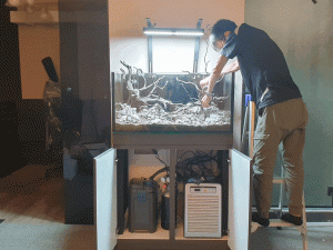 SCAPE-001: N30 aquarium scaping specialist helps customer to decorate tank.