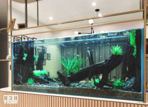 Wish to keep an aquarium but do not know how to make it beautiful? No worries. Leave all the aqua scaping work to N30. Our creative aquarium scaping team will make your aquarium beautiful in no time.