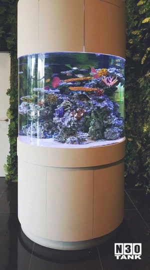 People would parade around this round pillar tank, mesmerised by the exquisite arrangements of the rocks. N30 aqua scaping team has done a stunning job scaping this round pillar tank which is eye-catching from any direction.