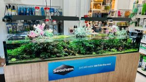 scaping-006: Aquarium scaping and maintenance with Seachem products.