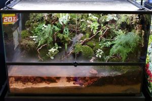 scaping-007: Aqua scaping by N30 Tank