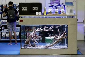 scaping-013: Aquarium scaping by N30 Tank