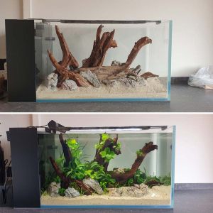 scaping-016: Aquascape planted tank. Tank size 90 x 45 x 45cm. Service by N30 Tank.