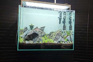 scaping-018: Aquascaping Service by N30 Tank