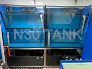 Chiller Seafood Tank custom-built by N30 Tank