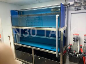 Chilled Seafood Tank custom-built by N30 Tank