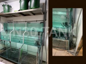 Restaurant Seafood Tank built by N30 Tank Singapore