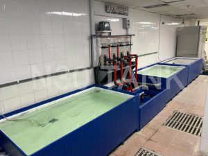 Filtration System for Seafood Storage Tank custom-built by N30 Tank