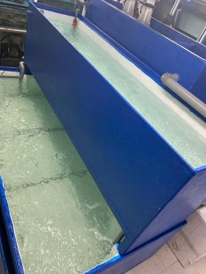 Custom Made Blue Fiber Glass Tank for Seafood Restaurant - N30 Tank