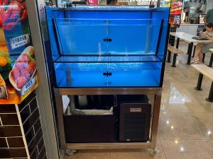 2-tier seafood tank on stainless steel stand custom-made by N30 Tank.