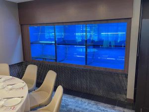 Restaurant seafood tank project completed by N30 Tank.