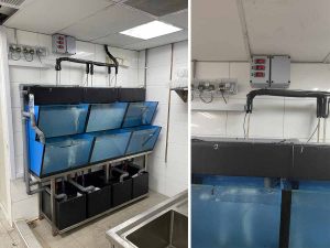 SF24001: Restaurant seafood tank by N30 Tank