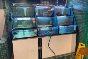 SF24005: Lo hey @ One Holland Village - Old seafood tank setup by N30 Tank.