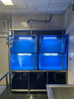 3-Tier Seafood Tank. Custom made by N30 Tank.