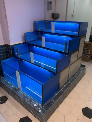 Seafood Step Tank for Restaurant - Built by N30 Tank