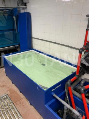 Restaurant Seafood Storage Tank custom-made by N30 Tank