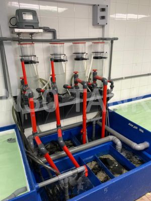 High Performance Protein Skimmer Filtration for Seafood Tank custom-built by N30 Tank