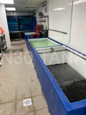 Restaurant seafood storage tank custom-made by N30 Tank