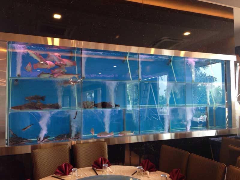 Seafood Tanks, CustomMade Seafood Aquarium in Restaurant N30 Tank