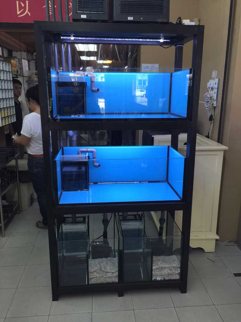 Seafood Tanks, CustomMade Seafood Aquarium in Restaurant N30 Tank